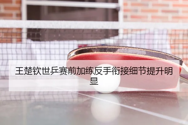 王楚钦世乒赛前加练反手衔接细节提升明显