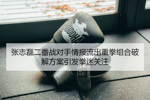 张志磊二番战对手情报流出重拳组合破解方案引发拳迷关注